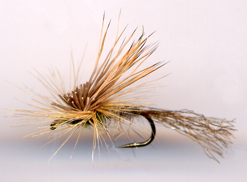 The Fly Fishing Place Basics Collection - Elk Hair Caddis Dry Fly  Assortment - 10 Dry Fishing Flies - 5 Patterns - Hook Sizes 12, 14, 16, 18