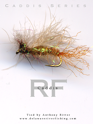 Gone Fishing Guide Service. Upper Delaware River fishing and hand tied flies