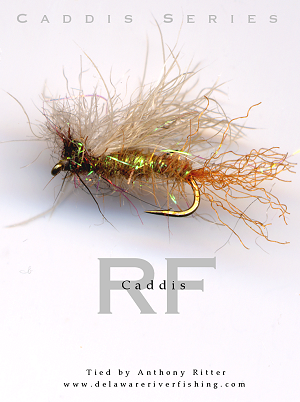 Western Fly Fishing Hatches for Trout in the Summer - The Fly Crate